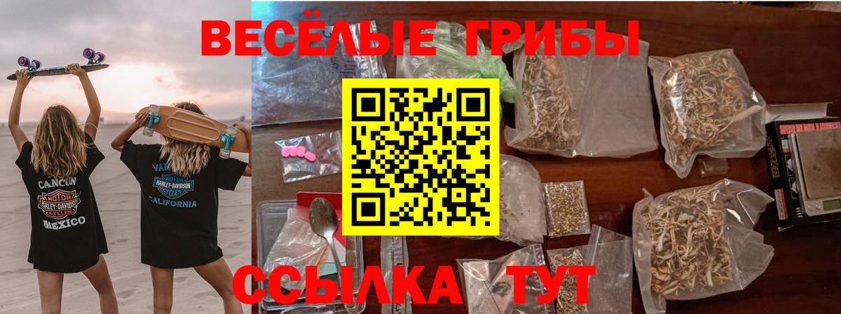 Псилоцибиновые грибы ЛСД  Вход с VPN  Шахты  Псилоцибиновые грибы GOLDEN TEACHER 