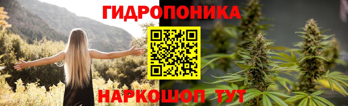 МАРИХУАНА конопля  Шишки марихуана White Widow  Канабис Ganja  Шахты  Вход с VPN 